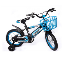 Bicicleta Infantil Rodado 16 Rueditas