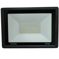 Foco Led Luminaria P Exterior 100w Ip66